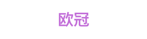 欧冠 Logo